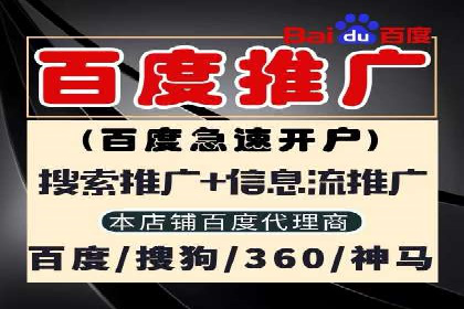 实战解析：SEM网络推广助力企业突破困境